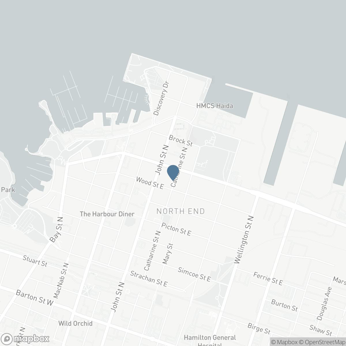 533 CATHARINE STREET N, Hamilton, Ontario L8L 4V3